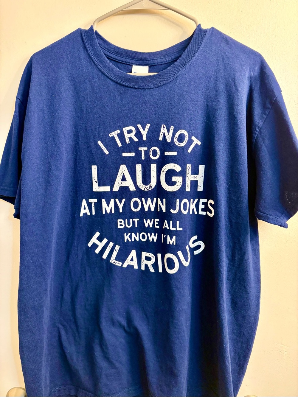 Gildan Heavy Cotton Funny Sarcastic Graphic Tee Blue Size Large EUC